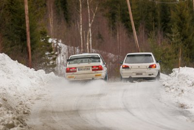 SNH_3113.jpg