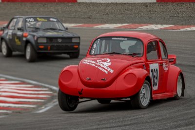SNH_4544.jpg