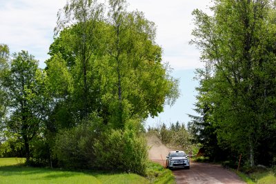 SNH_6825.jpg