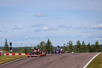 SNH_8282.jpg