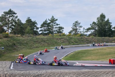 SNH_4210.jpg