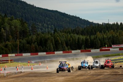 SNH_2010.jpg