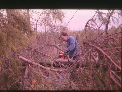 1978 stifinnern 131212Untitled-1.jpg