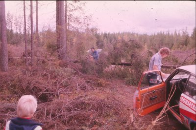 1978 stifinnern 131212Untitled-13 FBBL.jpg